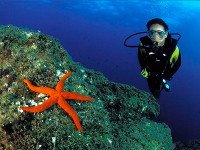 CMAS - FEDAS Three Star Diver